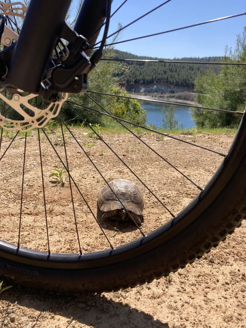Thessaloniki E-bike Mountain Adventure Tour - Frequently Asked Questions