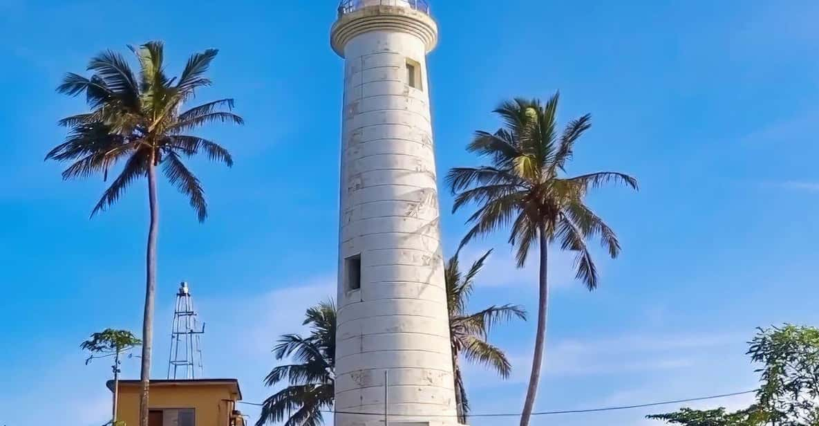 Tour De Galle: Explore Galle Fort (Shore Excursion) - Koggala Turtle Hatchery