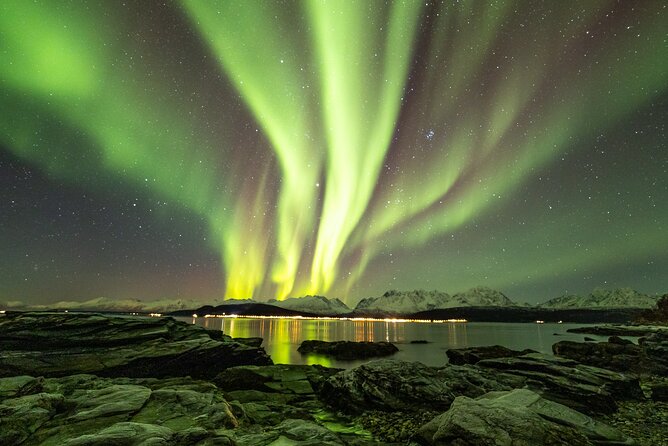 Tour in Search of the Northern Lights in Tromso - Meeting Point and Pickup Location