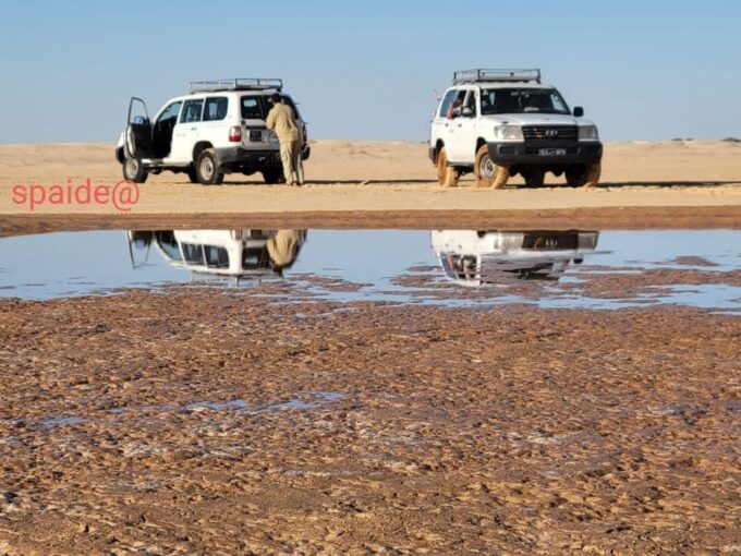 Tozeur: 2-Day Desert Overnight Stay in a Tent & Camel Trek - Language Proficiency