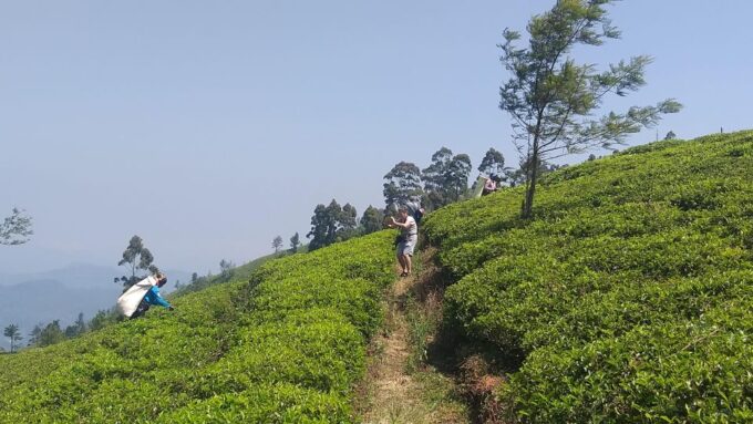 Trekking From Kandy to Ella - Pekoe Trail Stage 1