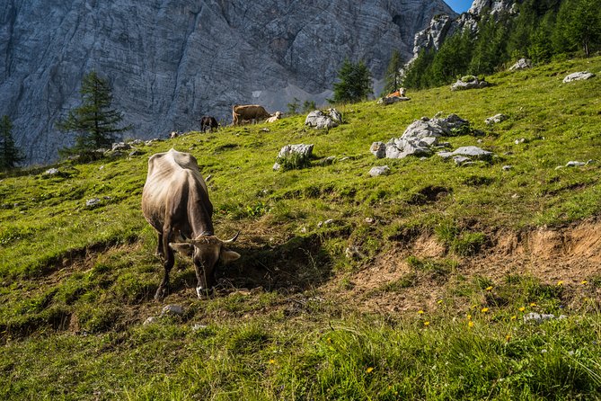 Triglav Tour in 2 Days Slovenia - Photography and Keepsakes