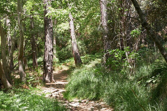 Troodos Mountains Dirt Roads, Waterfall, Villages Jeep Tour  - Larnaca - Health and Safety Considerations