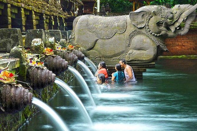 Ubud Village Sightseeing, Famous Paddy Field And Ubud Waterfall - Traveler Tips for Ubud Visit
