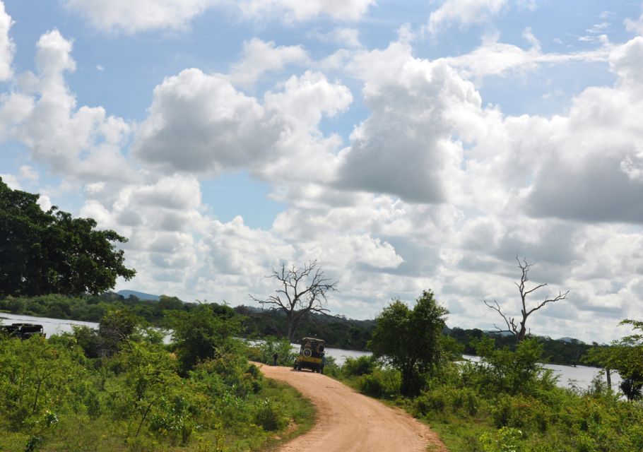 Udawalawe National Park Private Full-Day Safari - Meeting Point and Requirements