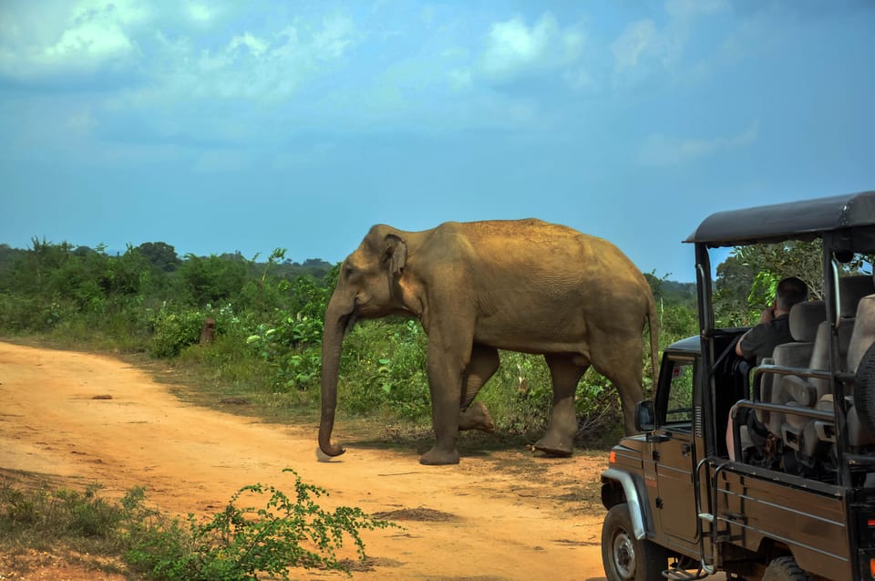 Udawalawe National Park Safari From Weligama - Cancellation Policy