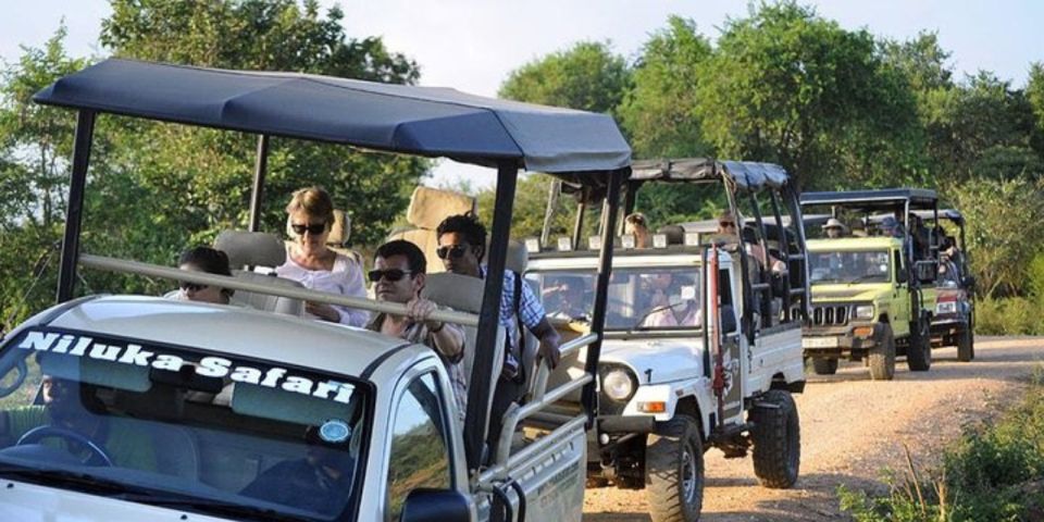 Udawalawe: Safari & Elephant Transit Home Visit With Lunch! - Gratuity and Restrictions