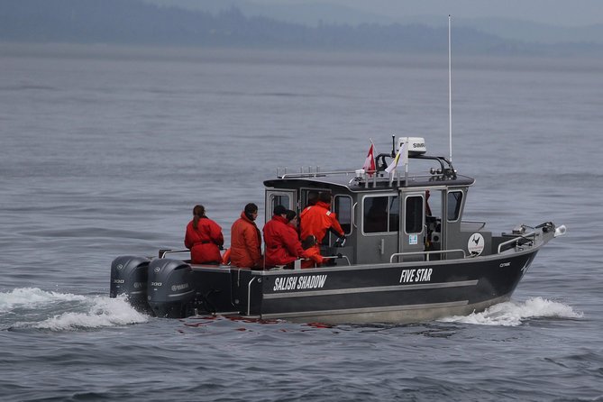 Ultimate Marine Whale & Wildlife Tour - Tips for a Great Experience