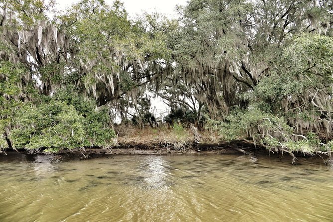Ultimate Swamp Tour Experience With Transportation From New Orleans - What to Expect During the Tour