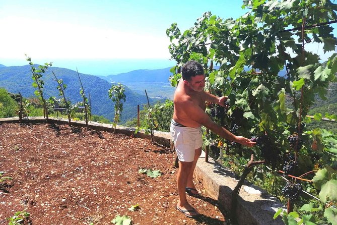 Unique Lunch Experience With Locals in High Hills Above Budva! - Meeting and Pickup Details