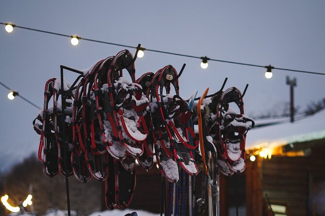 Ushuaia Night Adventure: Snowshoeing and Snowmobiling - Traveler Feedback and Considerations