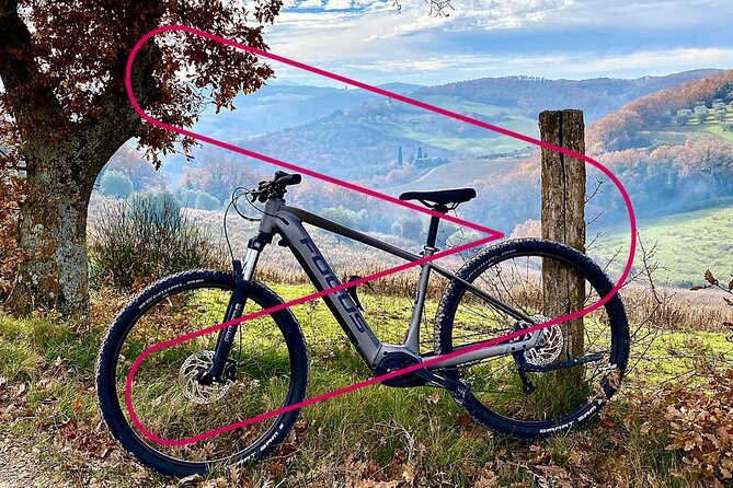 Valdorcia & Brunello Ebike Experience Tour - Brunello Wine Tasting