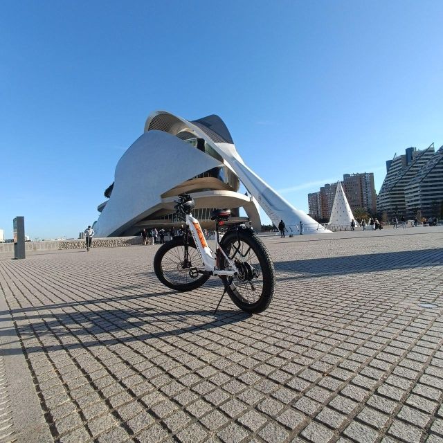 Valencia: The Albufera Lake Self-Guided E-Bike Tour - Explore Albufera Lake