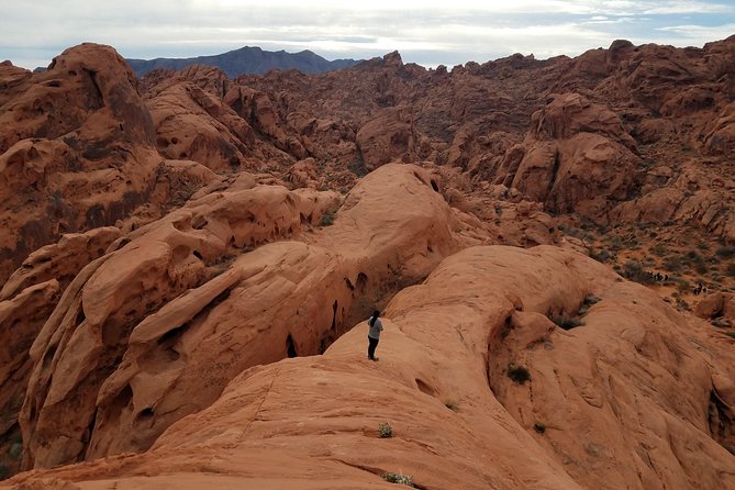 Valley of Fire Hike From Las Vegas - Ratings and Reviews