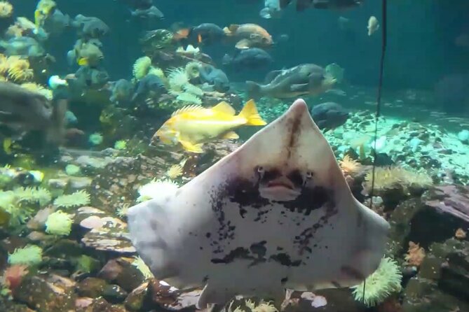 Vancouver AquariumTickets - Getting to the Aquarium
