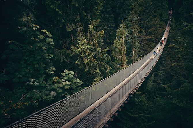 Vancouver Small Group Night Tour W/Capilano + Grouse Mtn Dinner - Small Group Size and Personalized Attention