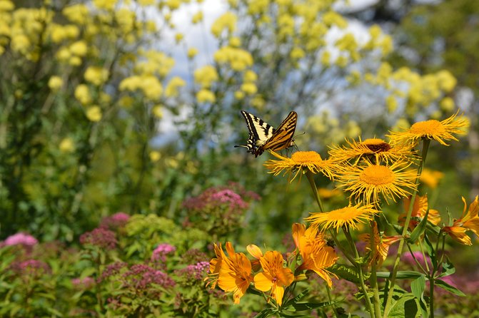 VanDusen Botanical Garden Admission Ticket - Educational Opportunities