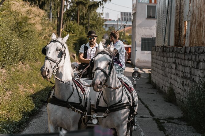 Vienna Horse-drawn Carriage Guided Tour - Unique Sightseeing Opportunity