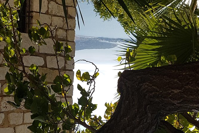 Villefranche Shore Excursion: 6 Hrs Private Tour of Nice, Eze and Monaco - Discover Eze