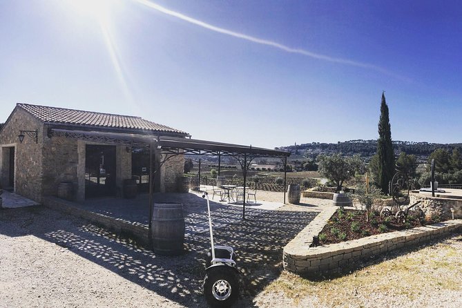 Vineyard Visit in Gyropode, Visit of Cave & Tasting Wines of Bandol - Grape Varieties and Scenic Views