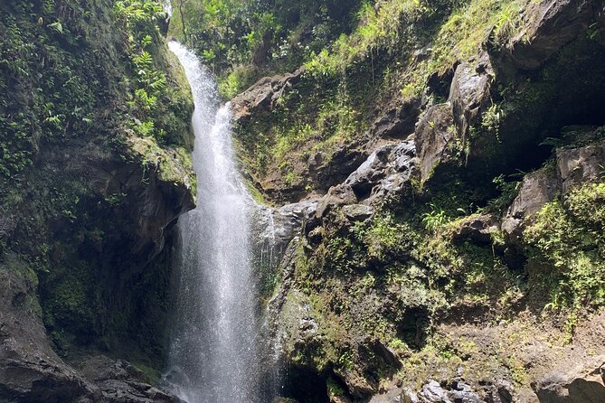 VIP Private Full-Day Road to Hana Tour From Lahaina-Kapalua - Customer Reviews