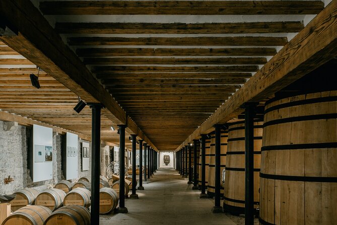 Visit and Tasting in Otazu - Wine Tasting Experience