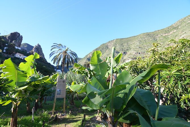 Visit the Ethnographic Park of La Gomera - Park Attractions
