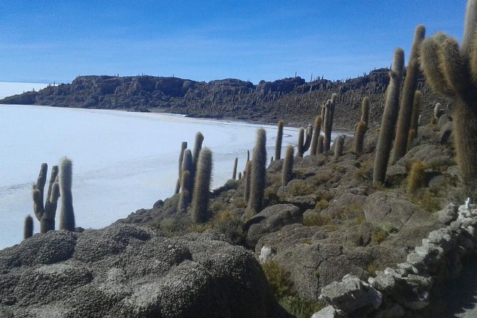 Visit to Uyuni Salt Flats From Sucre by Bus - Highlights of the Experience