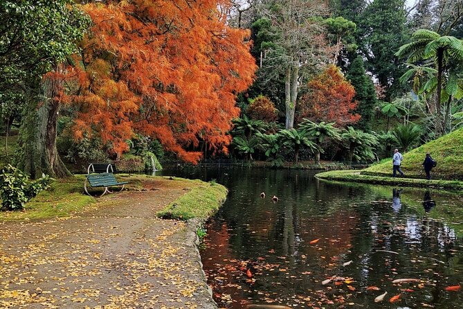 Volcano of Fogo and Furnas Private Tour - Cancellation and Policies