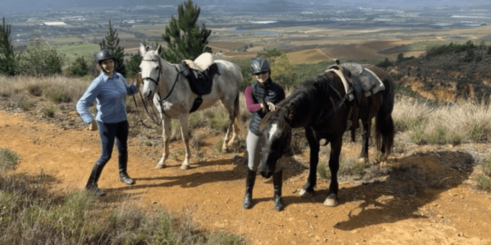 Vrede En Lust Wine Estate: 1H Breakfast Horse Trail - Dining Options