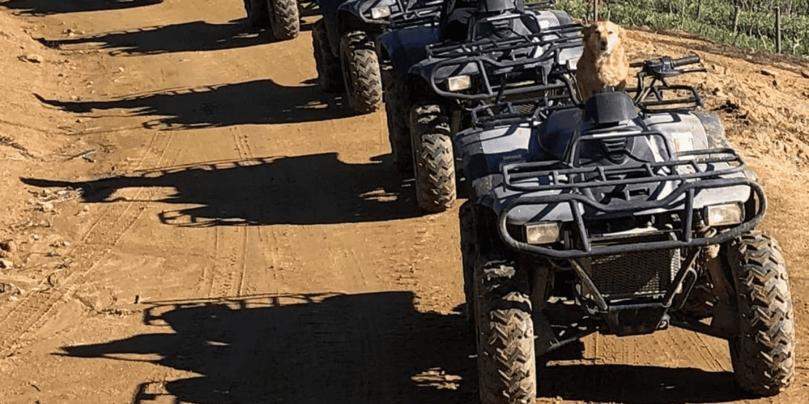 Vrede En Lust Wine Estate: 1h30m Quad Bike Trail - Safety and Rules