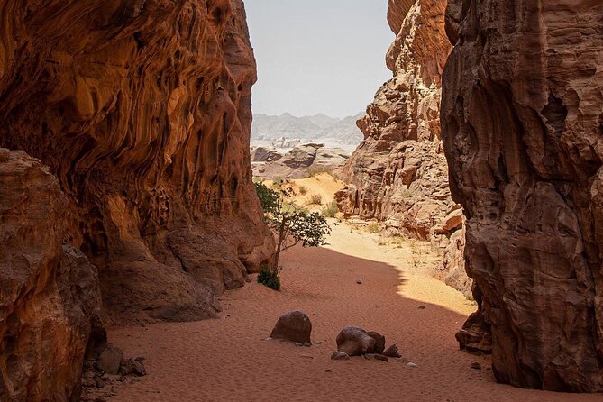 Wadi Rum Desert Tour With Lunch & Sunset - Booking and Cancellation