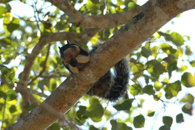 West Coast Beach, River Mangroves Lagoon, Wildlife Boat Tour - Cultural Experiences