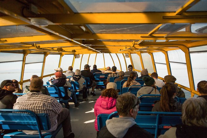 Whale-Watching Tour From Vancouver - Customer Experiences