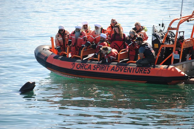 Whale Watching Tour in a Zodiac Boat in Victoria - Cancellation and Rescheduling Policies
