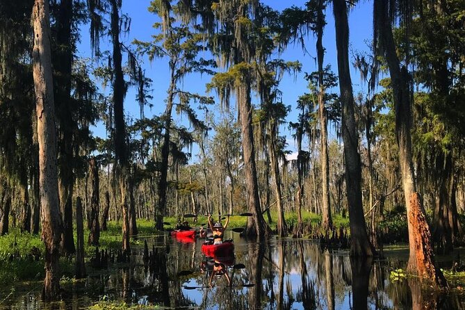 Whitney Plantation and Manchac Swamp Kayak Tour Combo - Physical Fitness and Accessibility