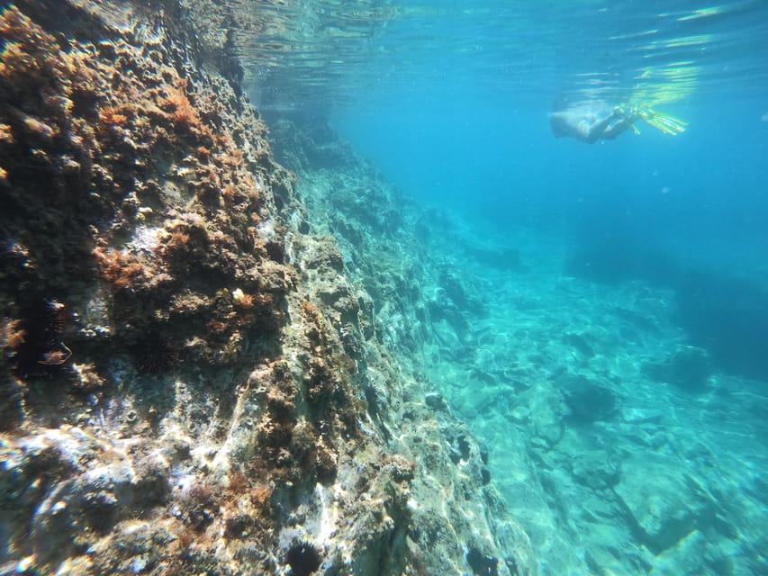 Wild Coast Discovery - Kayaking and Snorkeling