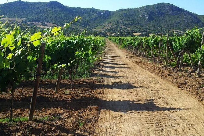 Wine & Food Tour in Tuk Tuk - Tour Duration and Schedule