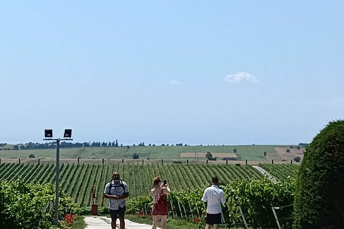 Wine Tasting Experience From Thessaloniki - Food and Wine Pairings