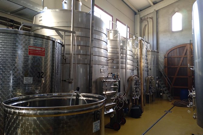 Wines Tasting and Typical Breakfast Small Group Tour From Girona - Accessibility Information