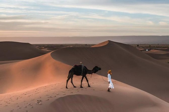 Wonderful Desert Tour From Fes To Merzouga 1 Night 2 Days - Berber Experiences