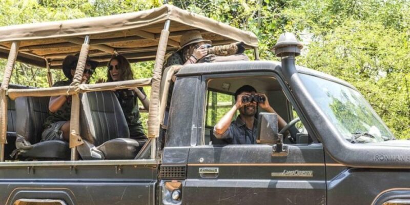 Yala Full-Day Leopard Safari With Gourmet Picnic - Wildlife Highlights