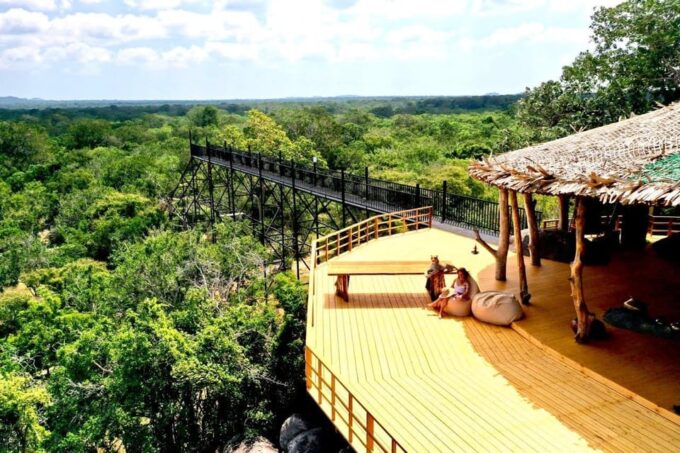 Yala National Park : Luxury Camping Adventure & Safaris - Wildlife Viewing Opportunities