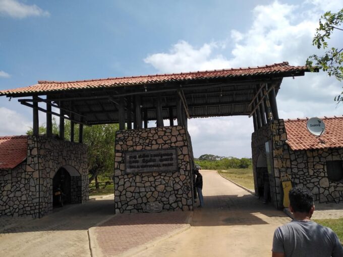 Yala National Park Safari Tour From Colombo / Galle - Cancellation Policy