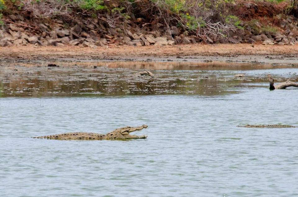 Yala Safari With Jeep and Tickets From Ella - Important Restrictions