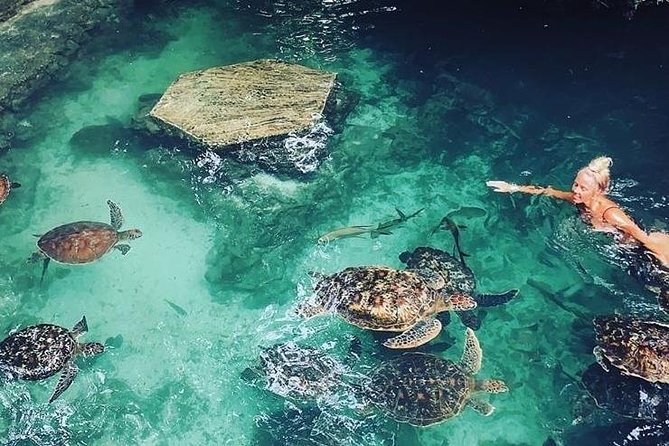 Zanzibar Adventures - Pricing Information