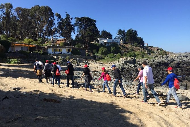 Zapallar Walking & Bird Watching Penguins & Lunch From Valparaiso - Health Considerations