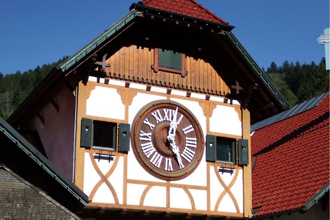 Zürich: Private Car Tour to Rhine Falls, Titisee and Black Forest - Transportation and Logistics
