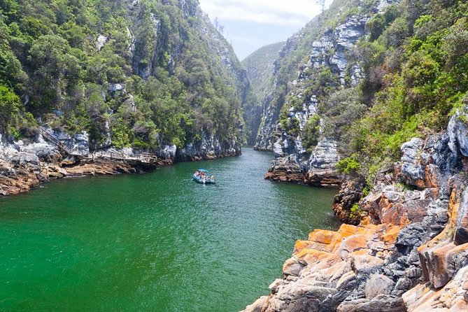 7-day Cape Town, Winelands, Garden Route and Addo National Park - Good To Know