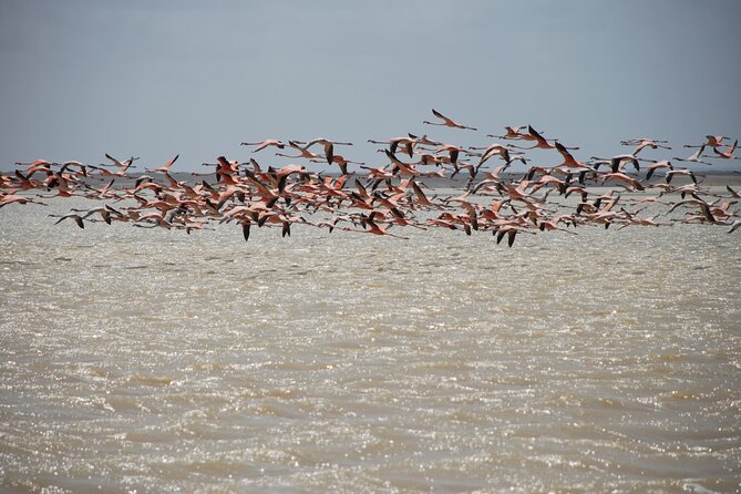 7 Days 6 Nights Alta Guajira Photographic Route Tour With Pick up - Good To Know